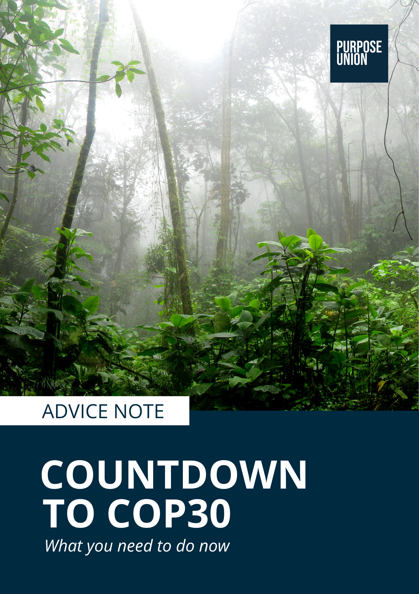 COP30 Advice Note Front Page COP30 Advice Note Front Page